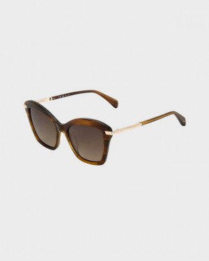 Women's Rag & Bone Marsha Cat Eye Sunglasses Brown | 468BXYTRP