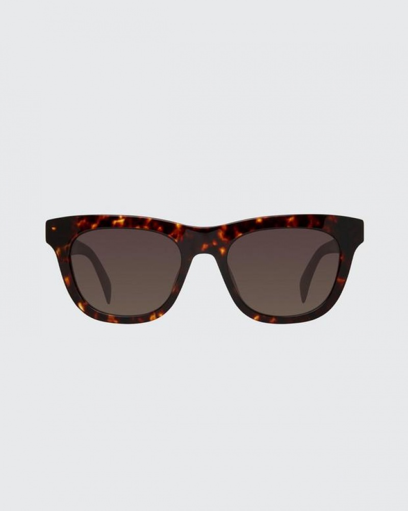 Men's Rag & Bone Perry Square Sunglasses Havana | 361VYPKML