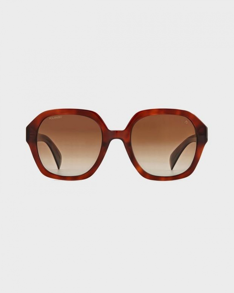 Women's Rag & Bone Elly Butterfly Sunglasses Havana | 246PLJGCT