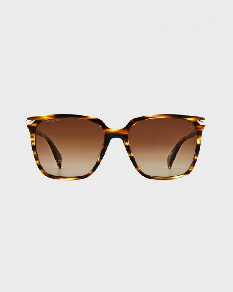 Women's Rag & Bone Erin Butterfly Sunglasses Brown | 093HUYGAQ