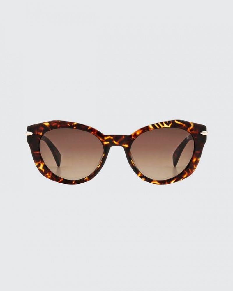 Women's Rag & Bone Lily Square Sunglasses Havana | 256SLFQEY