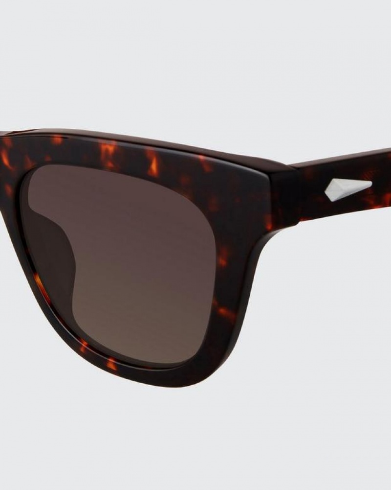 Women's Rag & Bone Perry Square Sunglasses Havana | 372LONDKY